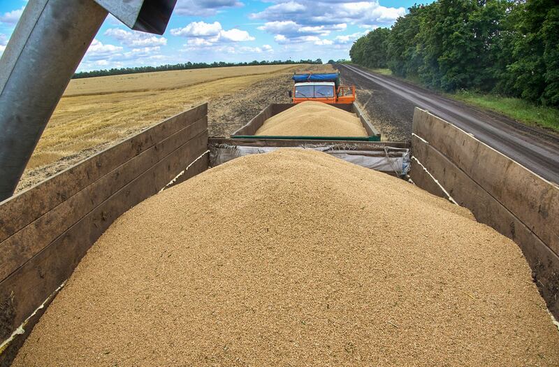 A harvest combine unloading wheat on a truck at a field in the Chuhuiv region of Kharkiv area, Ukraine. Photograph: Sergey Kozlov/EPA-EFE