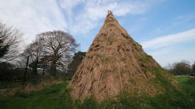 Irish hunter-gatherers may have become ill from undercooked fish