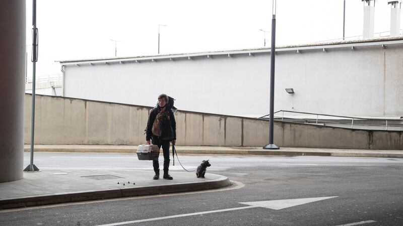 Russian immigrant Bulat Mustafin (24) and his pets arrive in Yerevan. Photograph: Daro Sulakauri/The New York Times