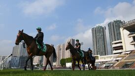Aidan O’Brien believes Luxembourg in right race as Group One winner closes career in Hong Kong