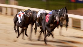 Sponsors ‘horrified’ by RTÉ programme on greyhound racing
