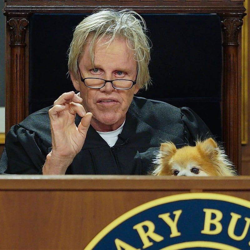 Gary Busey in Pet Judge. Photograph: Brendan Wedner/Amazon