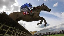 Dual-Champion Hurdle winner Hurricane Fly is retired