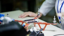 Stem courses key to Ireland making gains post-Brexit