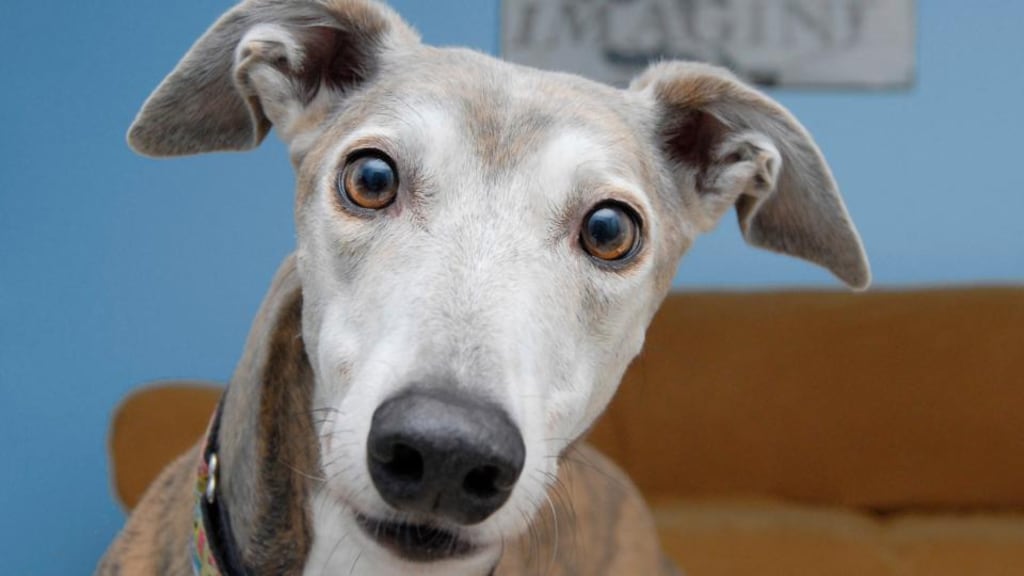 And the way she might look at you: close encounters in a Hillman Avenger