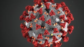 The science behind the race to develop a coronavirus vaccine