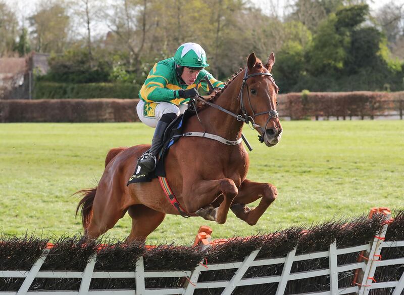 Capodanno's 160 rating puts him right in the mix against English mainstays Royale Pagaille and Ahoy Senor. Photograph: Inpho