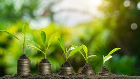 For a sustainable recovery, green is the only way forward