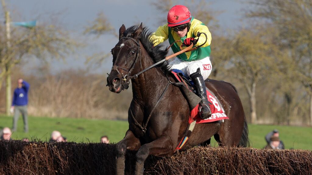 Goonyella finished in fifth place in the Grand National at Aintree. Photograph: Clint Hughes/Getty