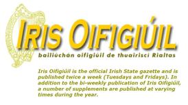 Publication of  new Irish citizens’ data put on hold