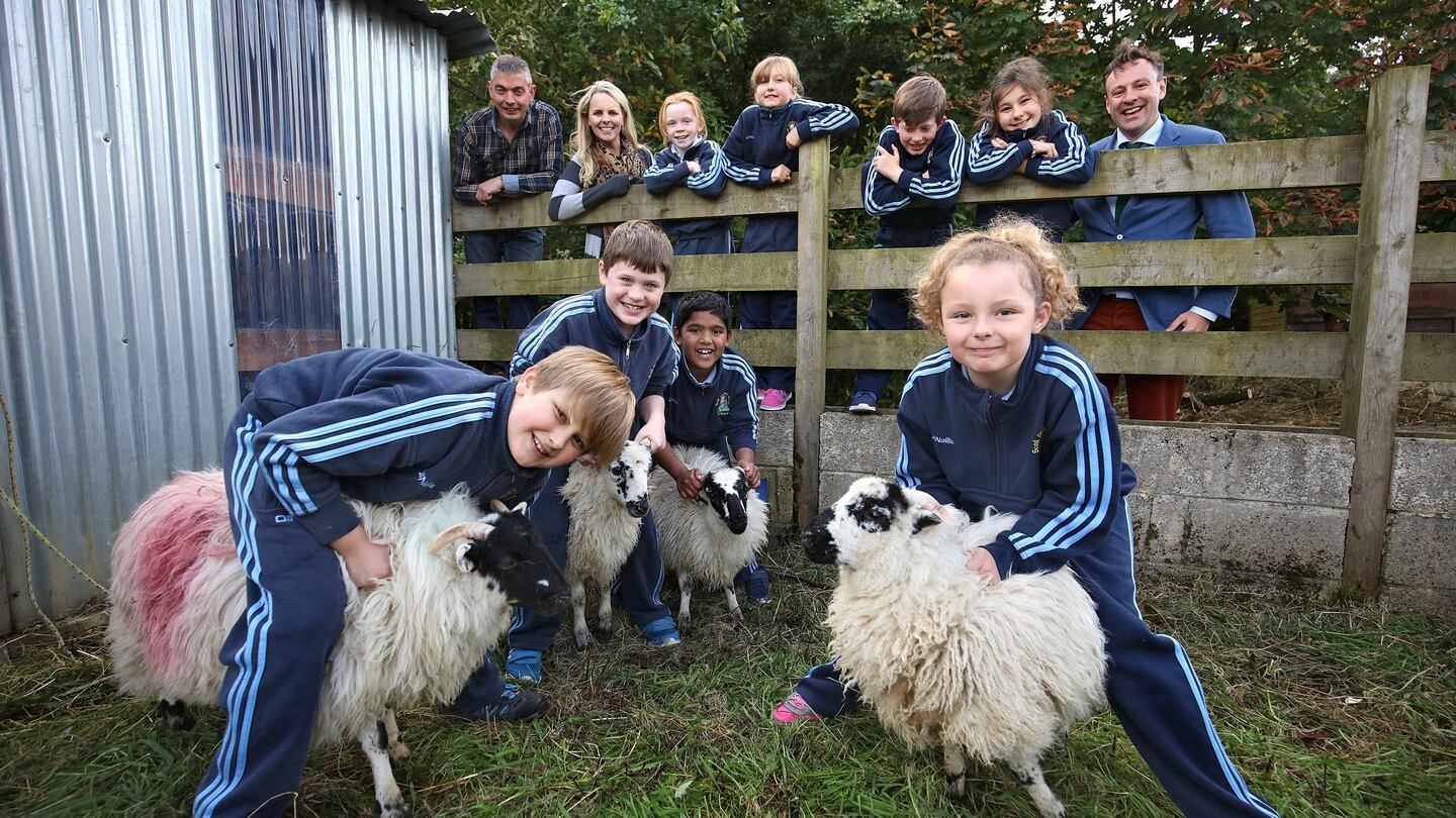 St Oliver’s national school, Killarney, Co Kerry: third-class pupils Jaylinn Marie Amos, Filip Zbylut, Mark O’Shea, Yasaf Islam and Jaylinn Marie Amos interacting with the school’s sheep. Back:  Ger Lynch, left, facilitator, Clare O’Sullivan, teacher and school principal Rory Darcy. Photograph: Valerie O’Sullivan