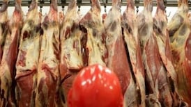Health authority gave meat plants advance notice of coronavirus inspections