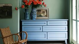 Spring paint trends: ‘I would never recommend Magnolia’