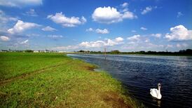 Siblings fear brother was attacked before he drowned in Shannon