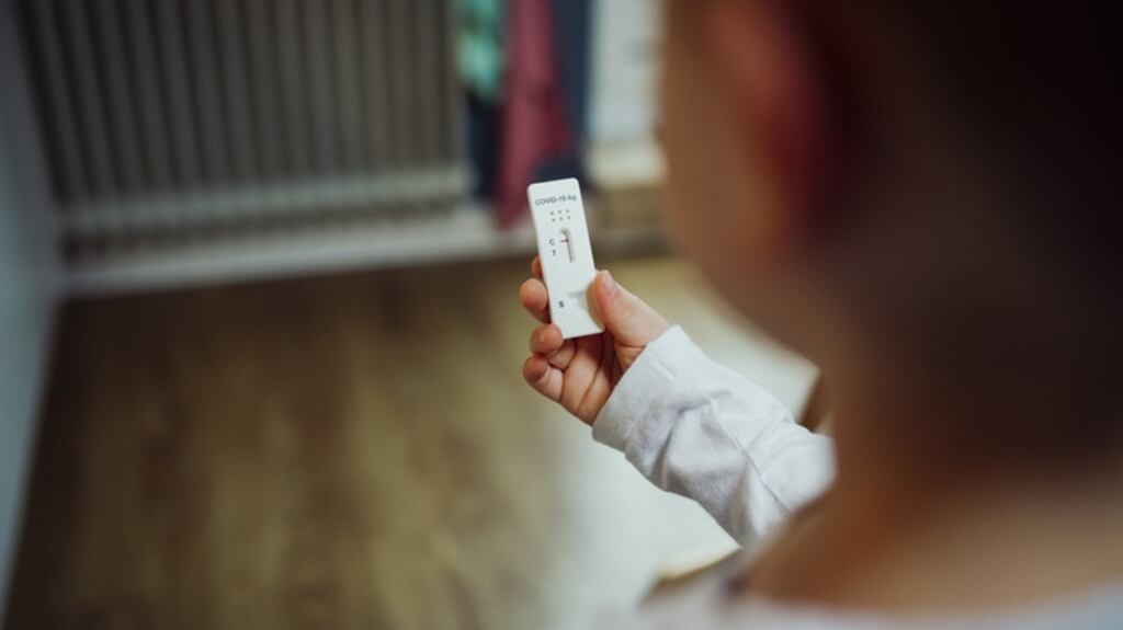 On Monday the Taoiseach said he expected that antigen tests would be used in “in given areas” within schools. Photograph: iStock