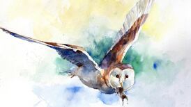 Annual watercolour showcase to run at new Phoenix Park venue