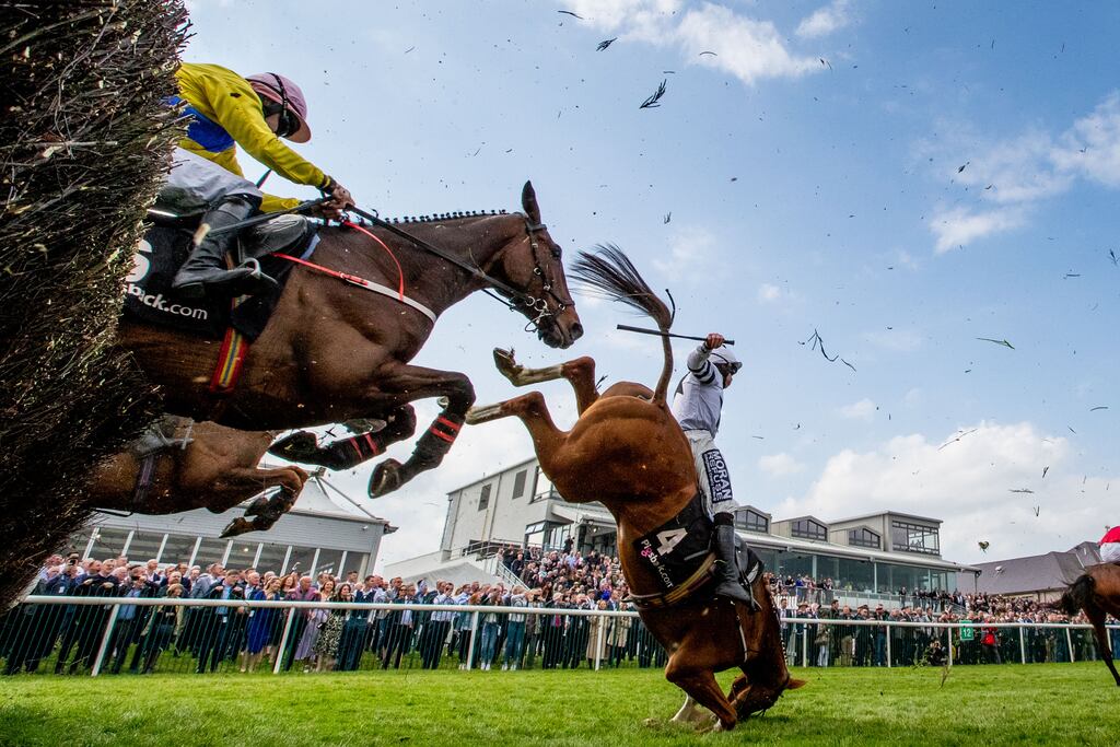 Shane Fitzgerald takes a fall from Grange Walk at the last in the The Pigsback.com Handicap Steeplechase at the Punchestown Festival in April. Photograph: Morgan Treacy/Inpho