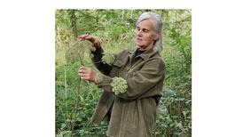 Make like a squirrel and go for an autumn forage