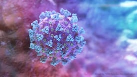 Coronavirus Q&A: What is behind the spike in cases in Ireland? Should we be concerned?