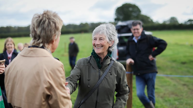 What happens if a president is elected on a mandate to oppose the Government?