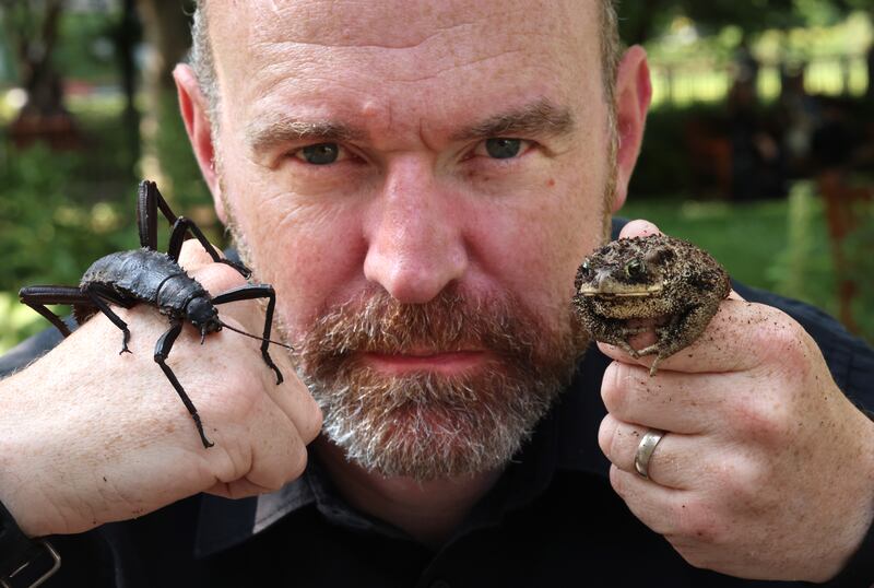 Collie Ennis with a spiky stick insect and common toad. Photograph: Dara Mac Dónaill