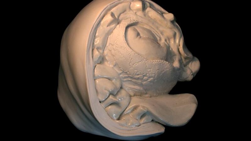 Flesh and Blood II by Vera Klute