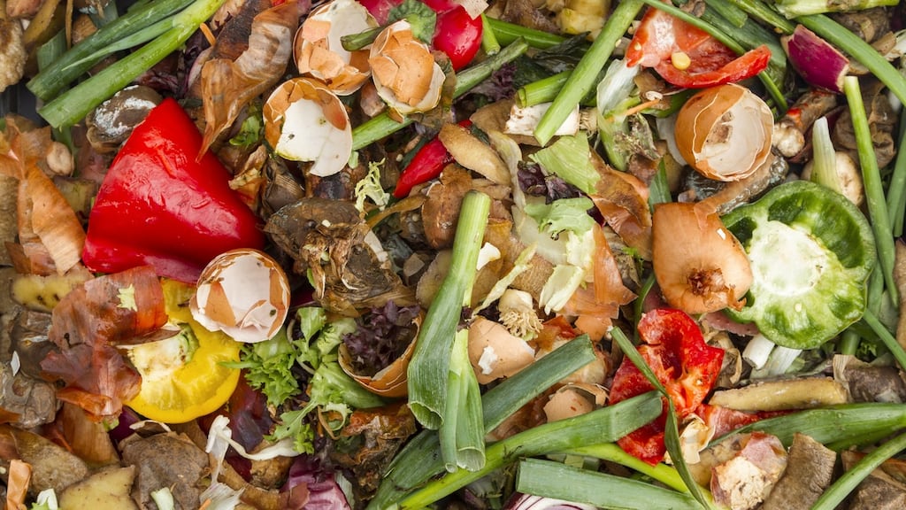 “People are starting to think about food waste in terms of the environmental message and not simply about what it costs them personally.” Photograph: iStock