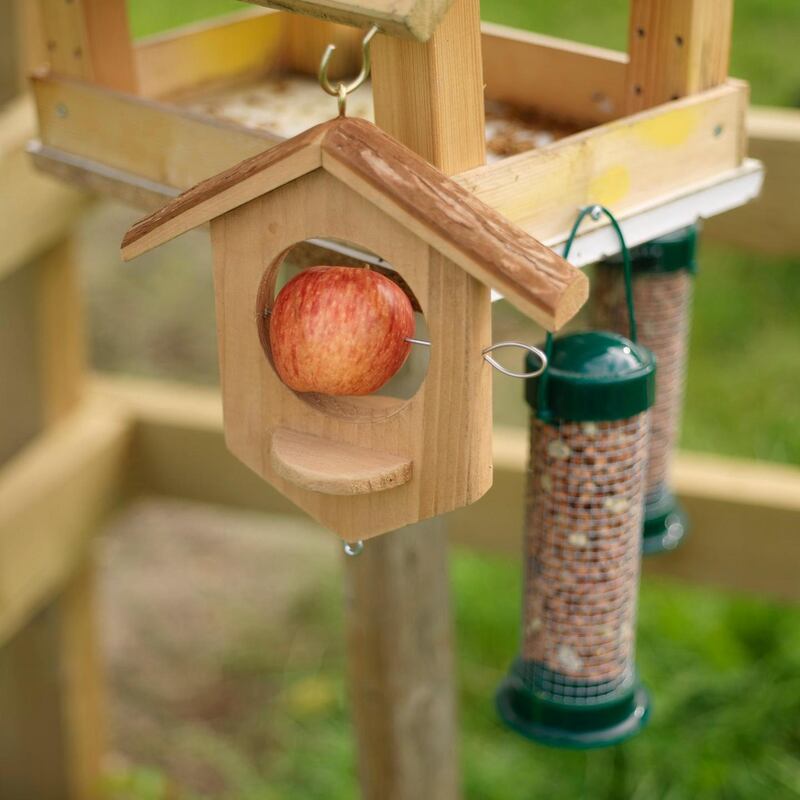 A well stocked bird table. Photo credit Richard Johnston