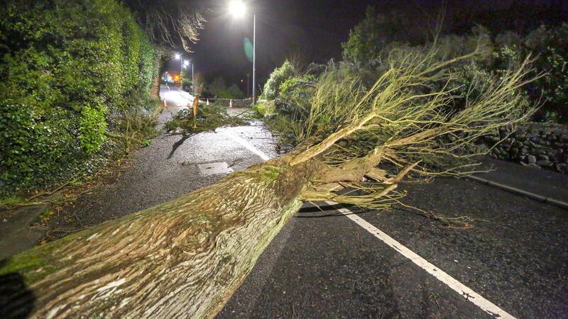 A fallen tree blocking the Ballymoneen Road at Knocknacarra early on Thursday morning following Storm Elsa in Galway. Photograph: Joe O’Shaughnessy