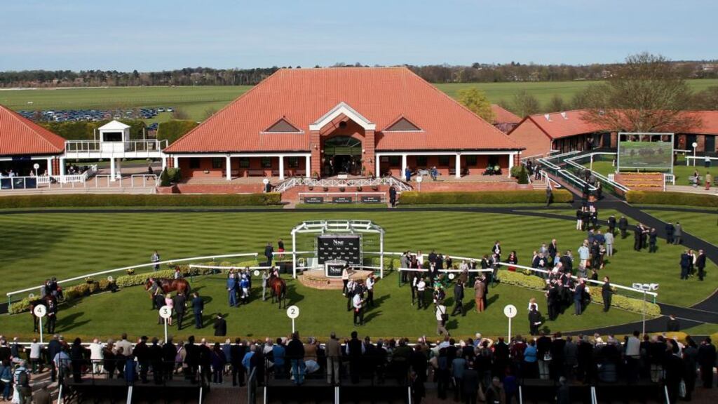 Horses in the winners enclosure after the Novae Bloodstock Insurance Craven Stakes during the The Craven Meeting at Newmarket Racecourse. Photo: David Davies/PA