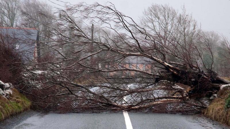 A downed tree blocking the road near Cong, Co Mayo. Photograph: Paul Mealey