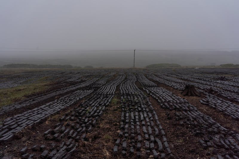 Machine-cut turf at Trista Bog, outside Bangor Erris, Co Mayo, in July 2022. Many Irish households still burn peat for heat. Photograph: Paulo Nunes dos Santos/The New York Times
