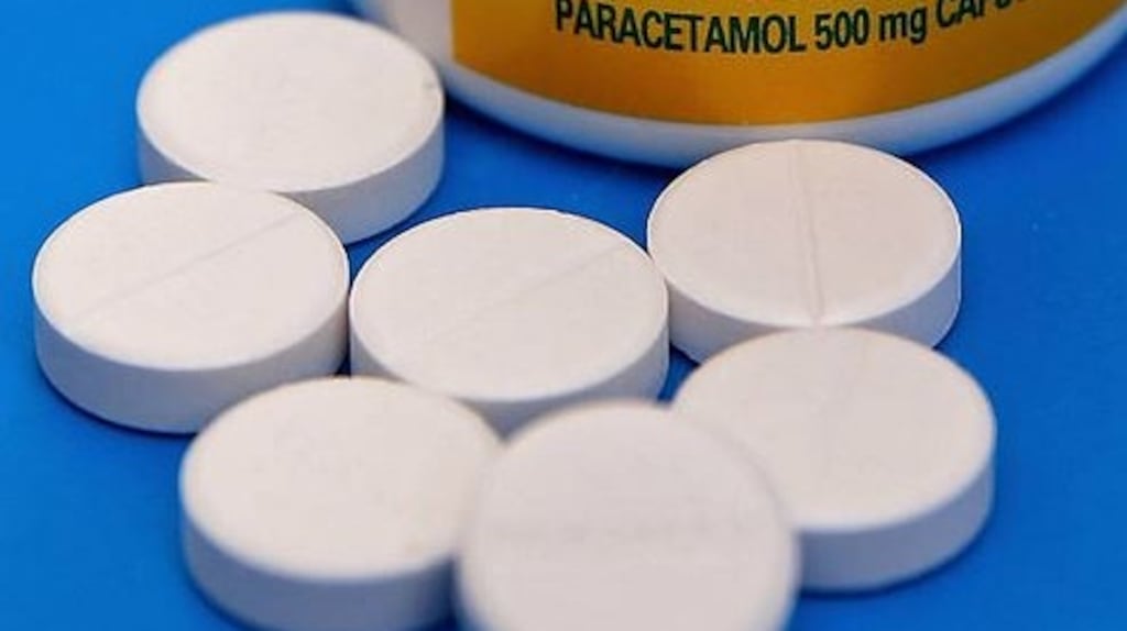 In the reviewed studies rodents given paracetamol during pregnancy, at doses equivalent to those that a pregnant woman may take for pain relief, produced female offspring with fewer eggs. Photograph: Getty Images