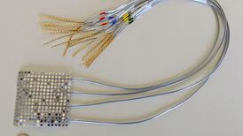 New device translates thoughts into speech