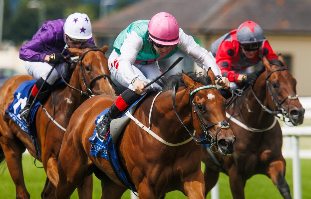 Babouche can become the first filly in 13 years to land the Keeneland Phoenix Stakes at the Curragh on Saturday. Photograph: Tom Maher/Inpho
