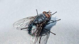 The kindness of paper