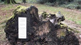 ‘I support Monaghan Gaelic football team. It involves a lot of suffering’