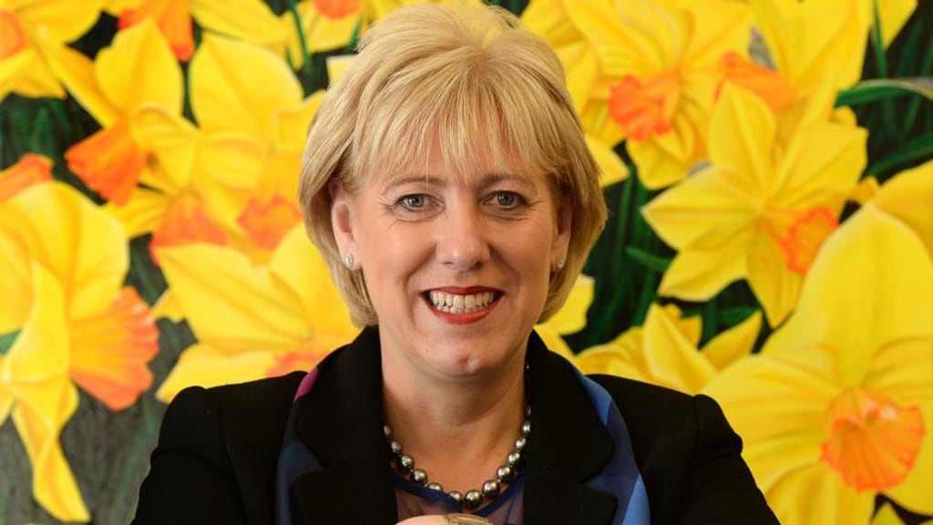 A note from the office of Minister for Arts, Heritage and the Gaeltacht Heather Humphreys requested the Irish language be relegated to nearer the bottom of the list of principal themes of the commemorations. Photograph: Cyril Byrne