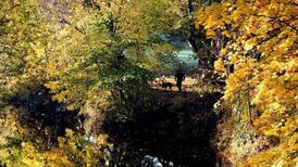 Dodder greenway or cycling highway?