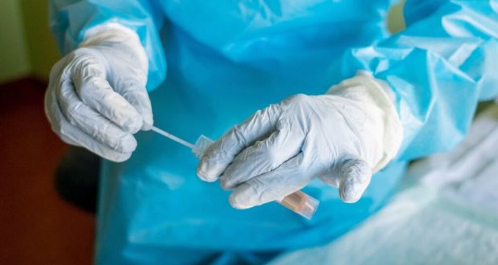 A medial worker holds a swab sample of a test for coronavirus. Photograph: Francesca Volpi/Bloomberg