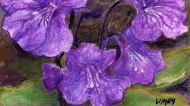 Botanists blossom in flora fieldwork