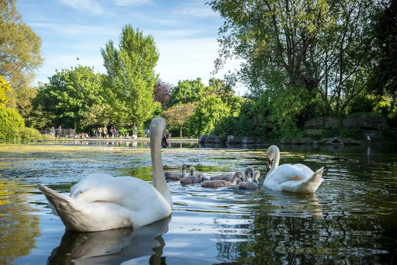 St Stephen's Green in Dublin city centre is enjoyed by both tourists and locals. Photograph: iStock