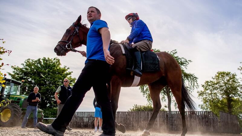 Andrew Duff at Glenburnie Stables, Kiltale, Dunsany, Co Meath. Photograph: Inpho