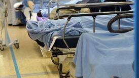 Ten more Covid-19 deaths in North and 679 new cases