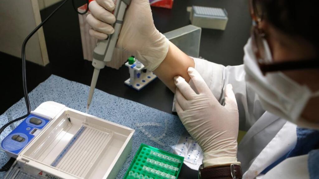 An examiner demonstrates the process of analysing the genetically modified wheat sample. Photograph: Lee Jae-Won/Reuters