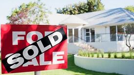 CAO: College applicants banking on strength of Irish economy