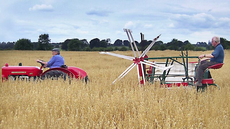 Tommy and John Sheridan on a 1961 Massey Ferguson 25 tractor.