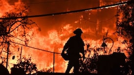 Company pleads guilty to 84 counts of involuntary manslaughter in California wildfire