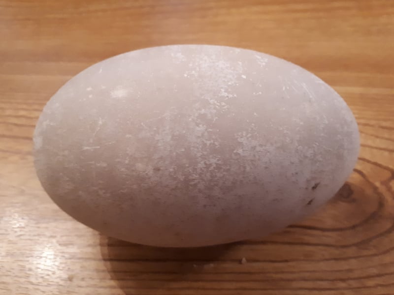 Swan’s egg
