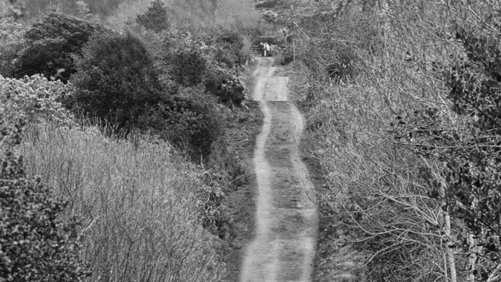 Part of the Kerry Way, near Sneem, which once formed a section of the Kerry-Cork butter road. Photograph: Richard Mills